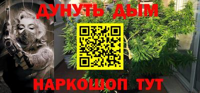 ГАЛЛЮЦИНОГЕННЫЕ ГРИБЫ Кандалакша