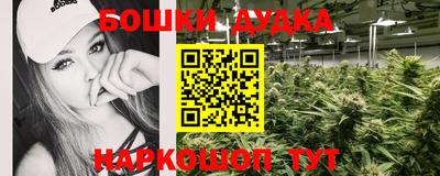 ГАЛЛЮЦИНОГЕННЫЕ ГРИБЫ Кандалакша