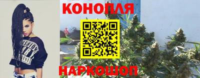 ГАЛЛЮЦИНОГЕННЫЕ ГРИБЫ Кандалакша