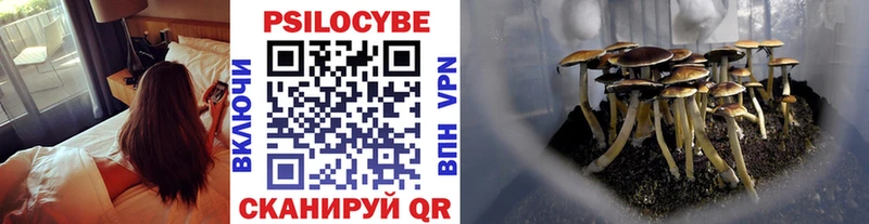 магазин продажи наркотиков  Чебаркуль  Галлюциногенные грибы Cubensis 
