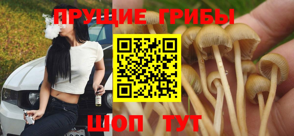 Псилоцибиновые грибы Cubensis  Вход с VPN  Чебаркуль 